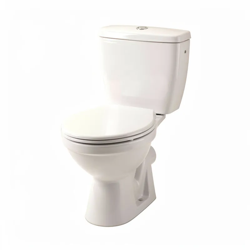 Remplacement de WC Bezons